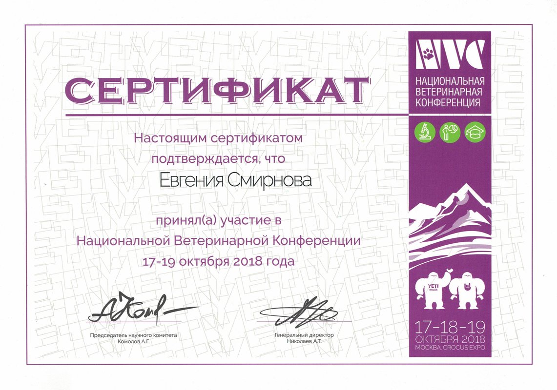 Документ или сертификат