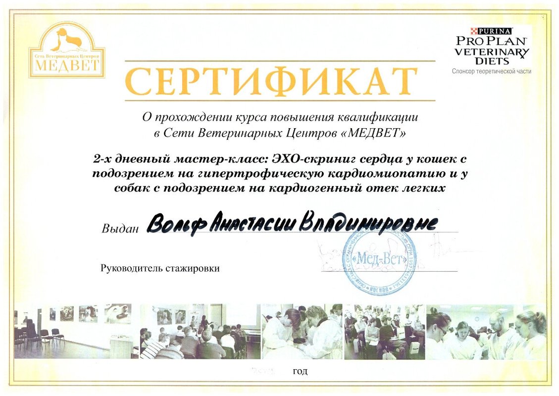 Документ или сертификат