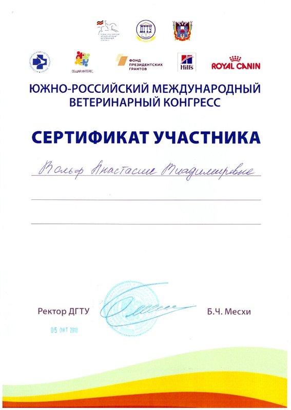 Документ или сертификат