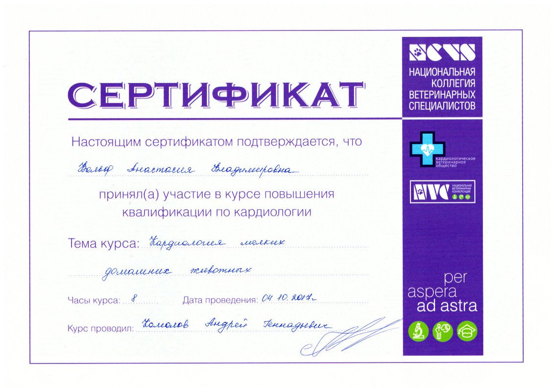 Документ или сертификат