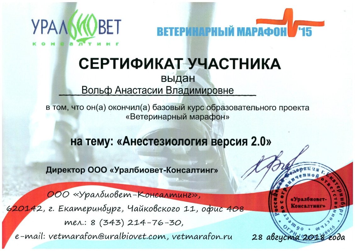 Документ или сертификат