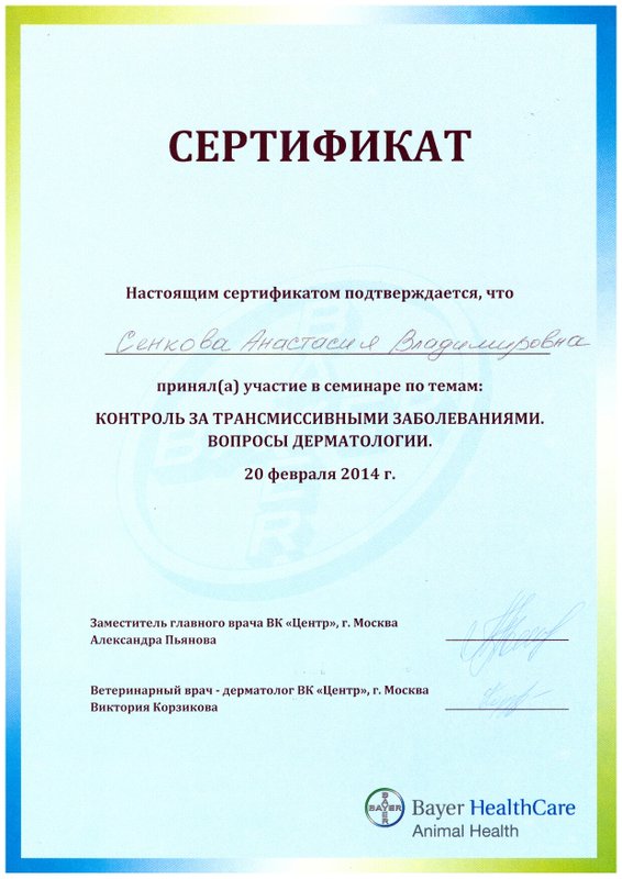 Документ или сертификат