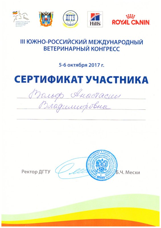 Документ или сертификат