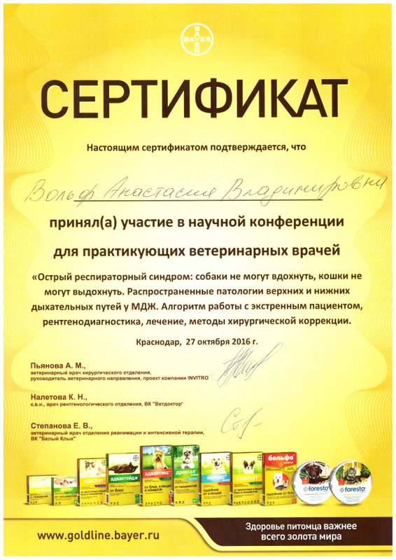 Документ или сертификат