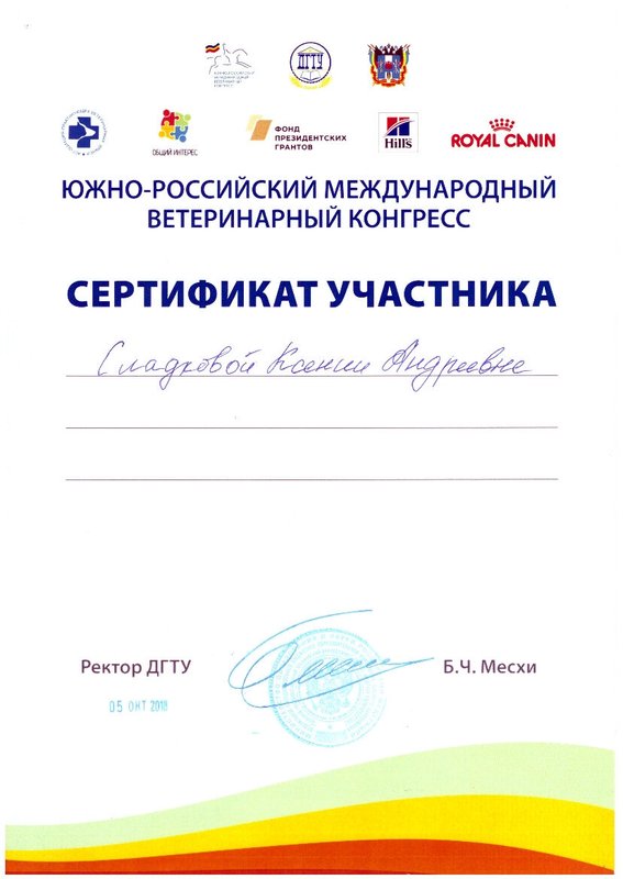 Документ или сертификат
