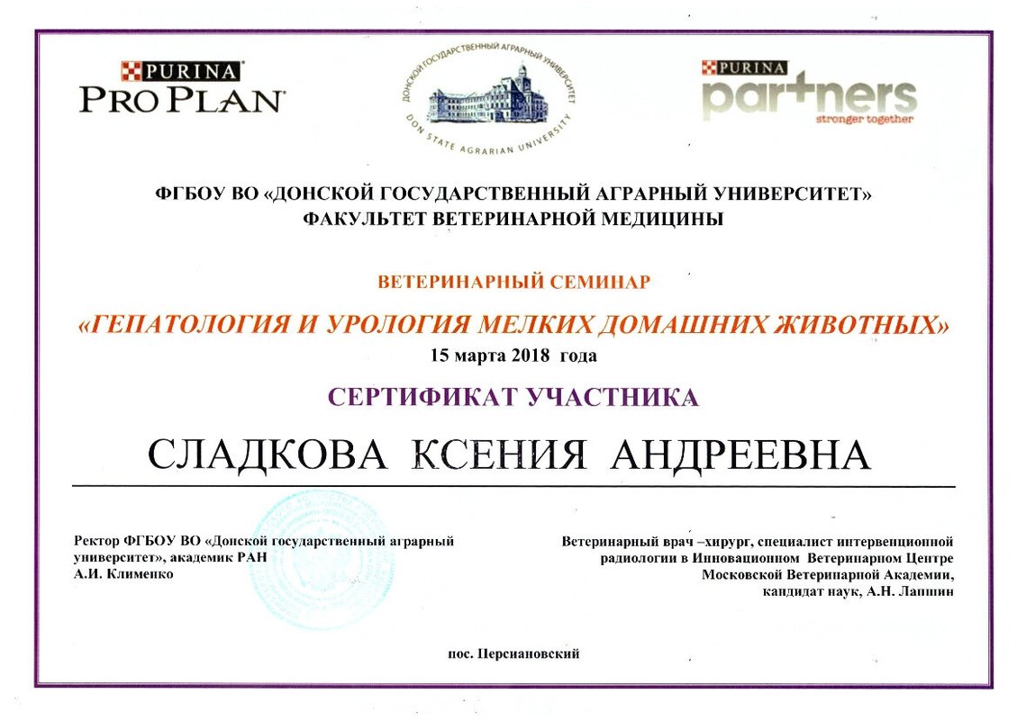 Документ или сертификат