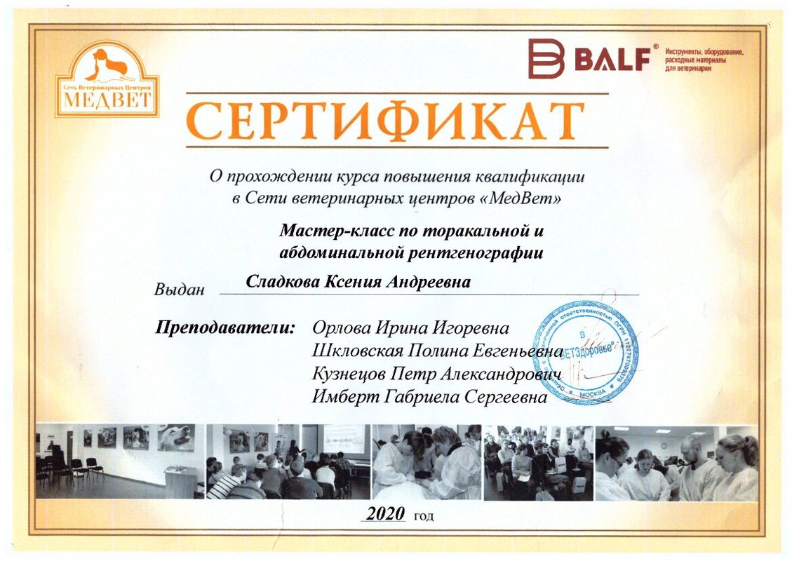 Документ или сертификат