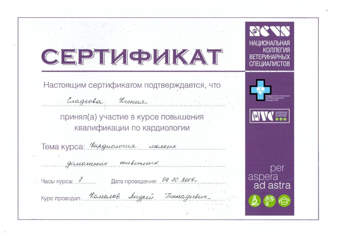 Документ или сертификат