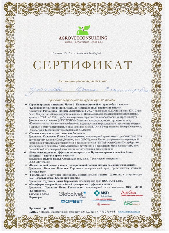 Документ или сертификат