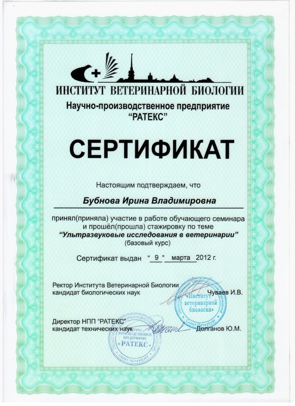 Документ или сертификат