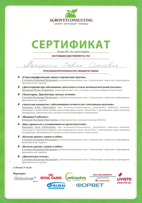 Документ или сертификат
