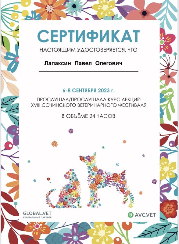 Документ или сертификат