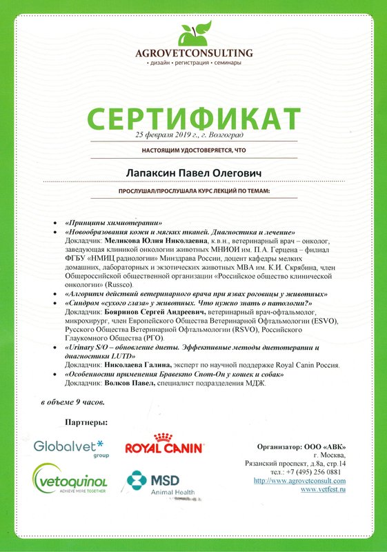 Документ или сертификат