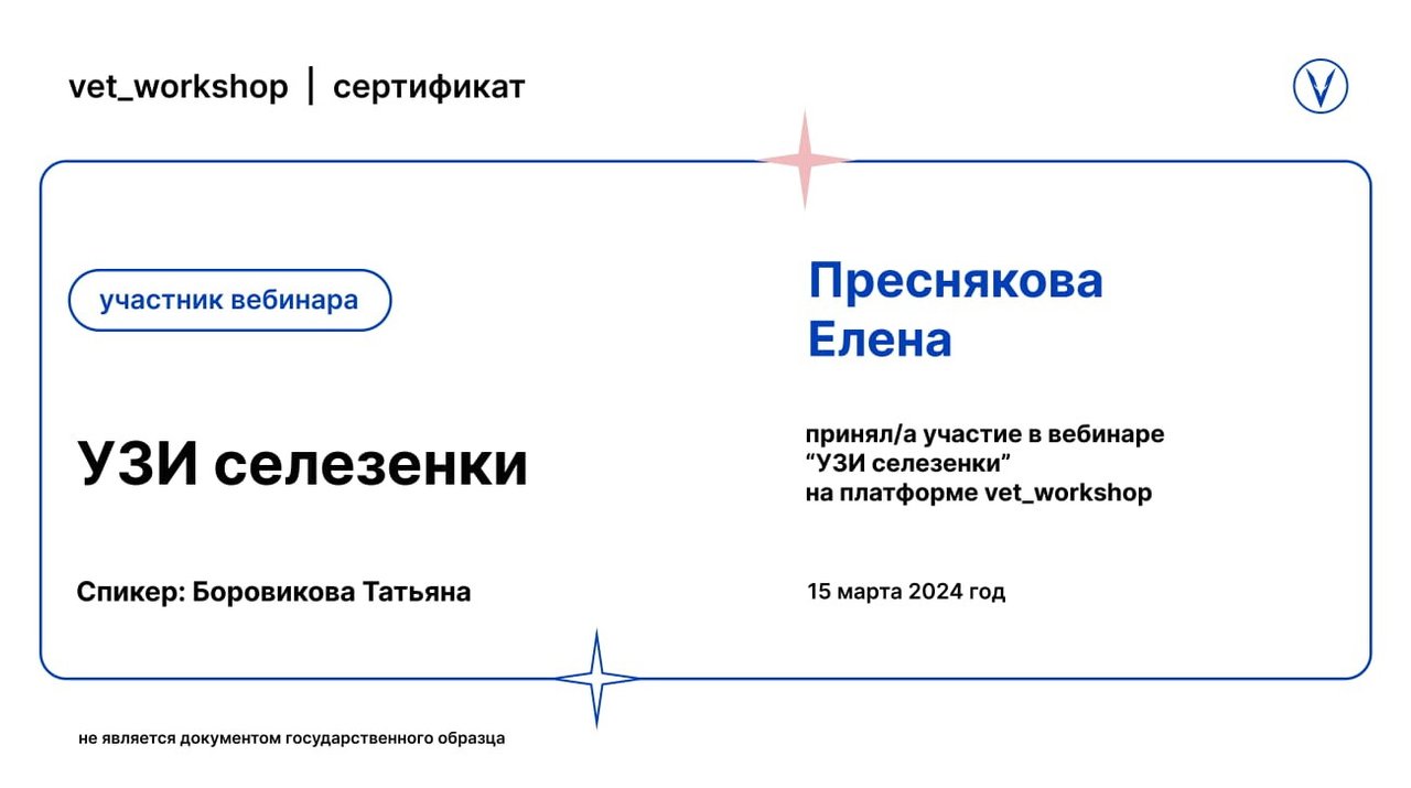 Документ или сертификат