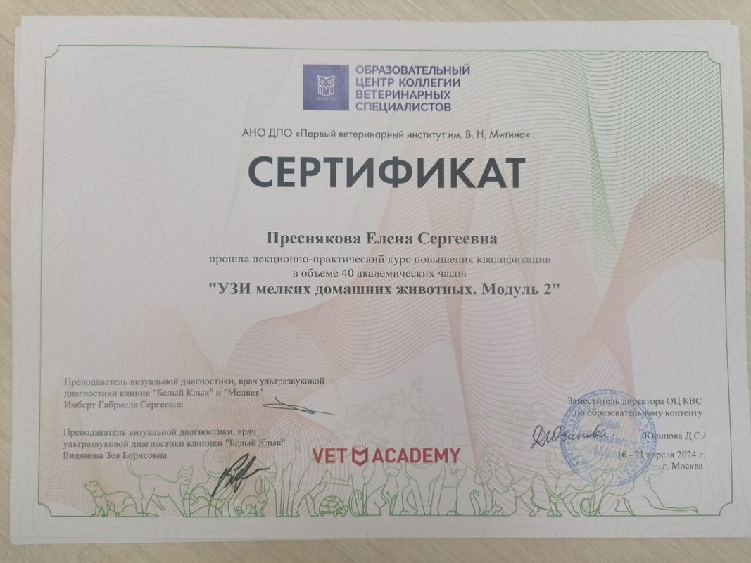 Документ или сертификат