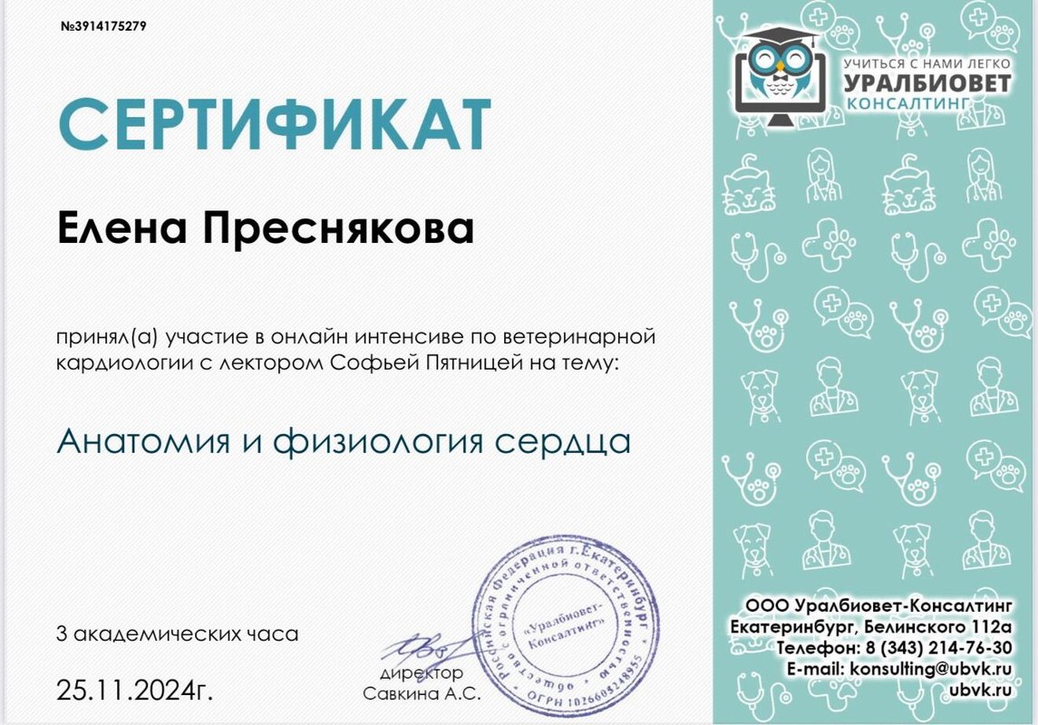 Документ или сертификат