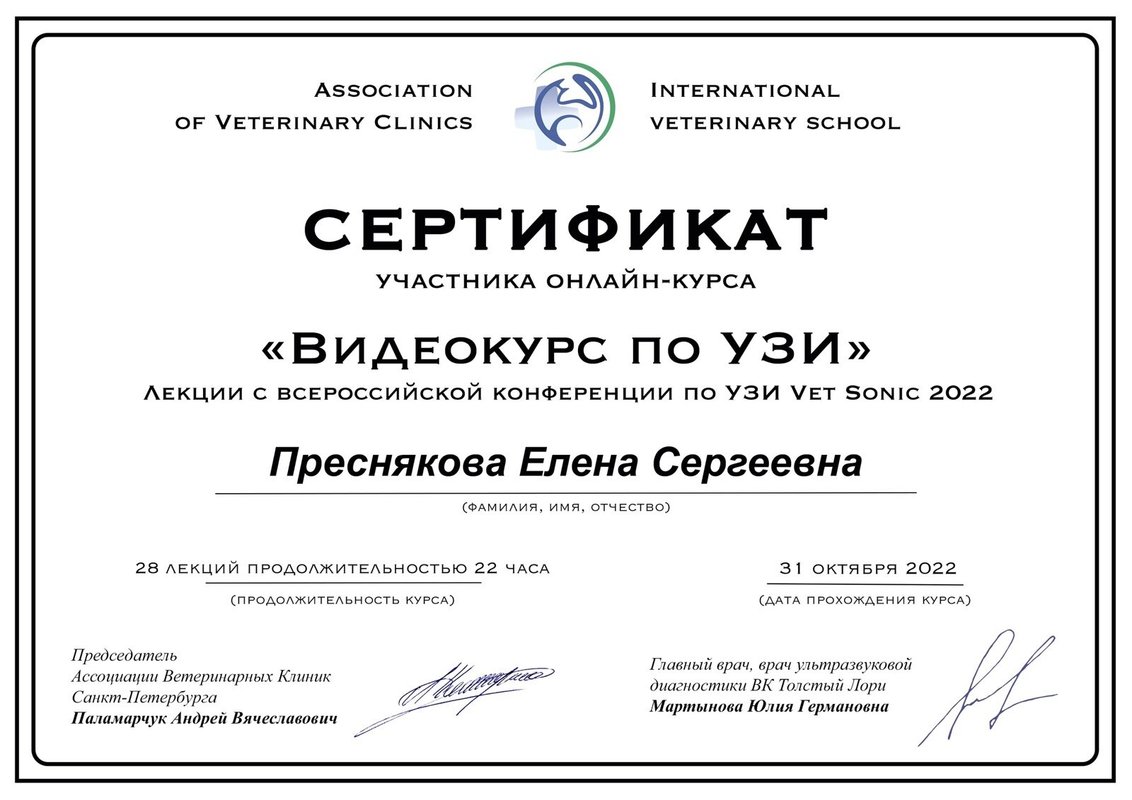 Документ или сертификат