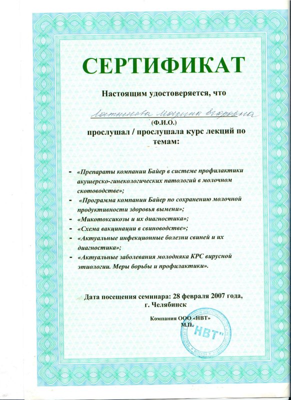 Документ или сертификат