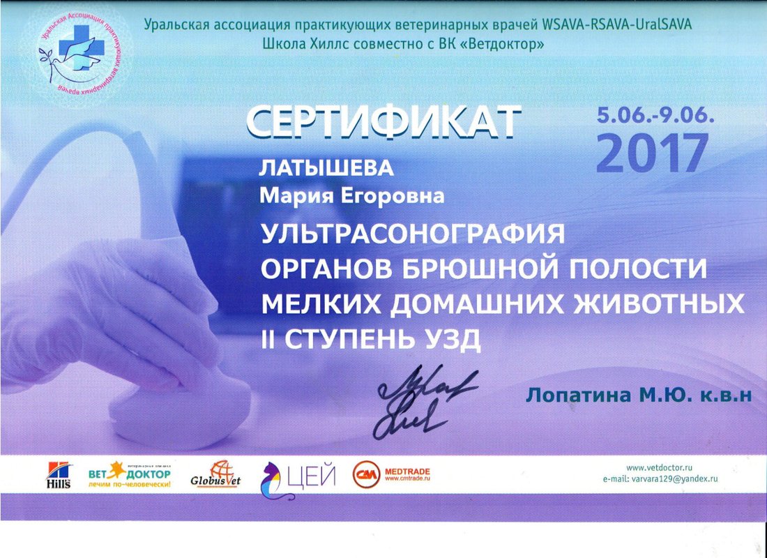 Документ или сертификат