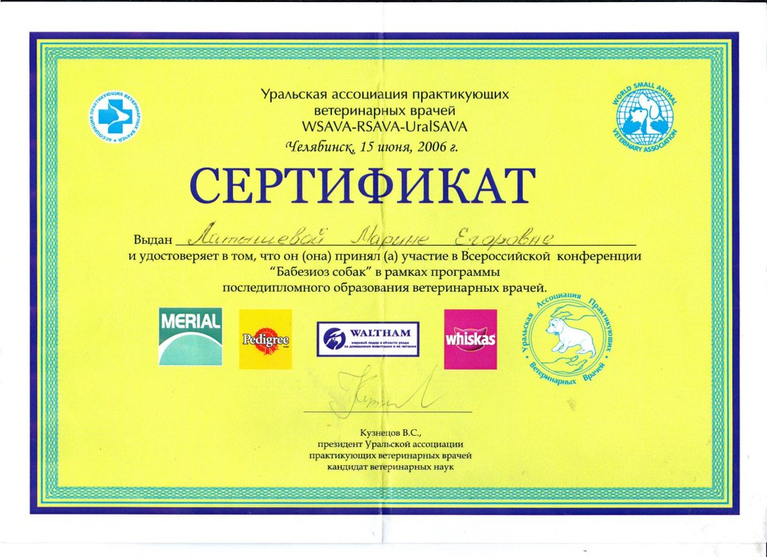 Документ или сертификат