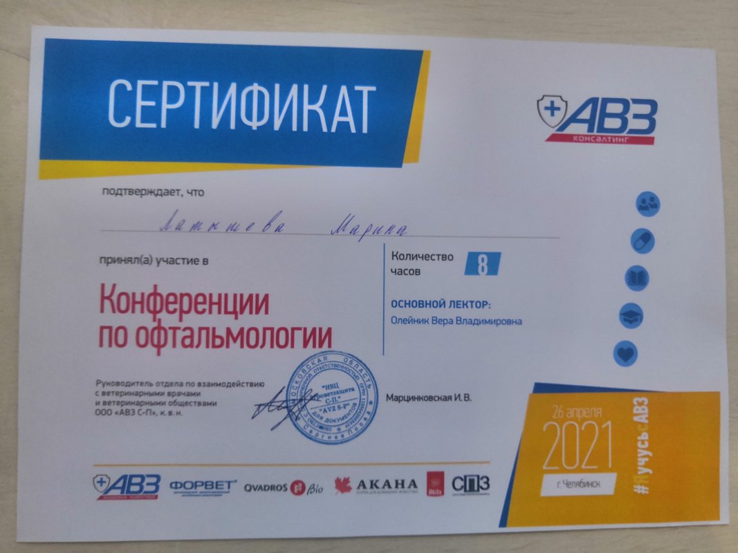 Документ или сертификат