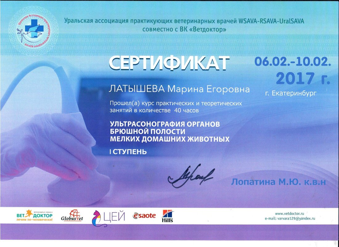 Документ или сертификат