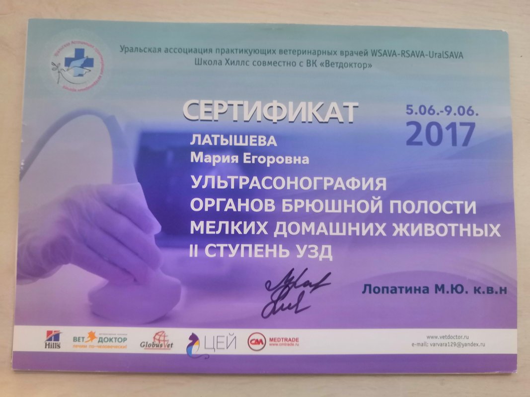 Документ или сертификат