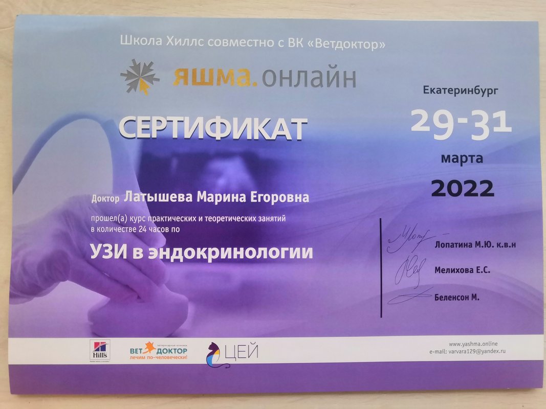Документ или сертификат