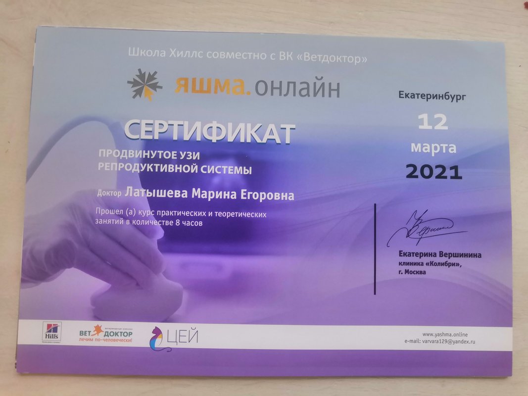 Документ или сертификат