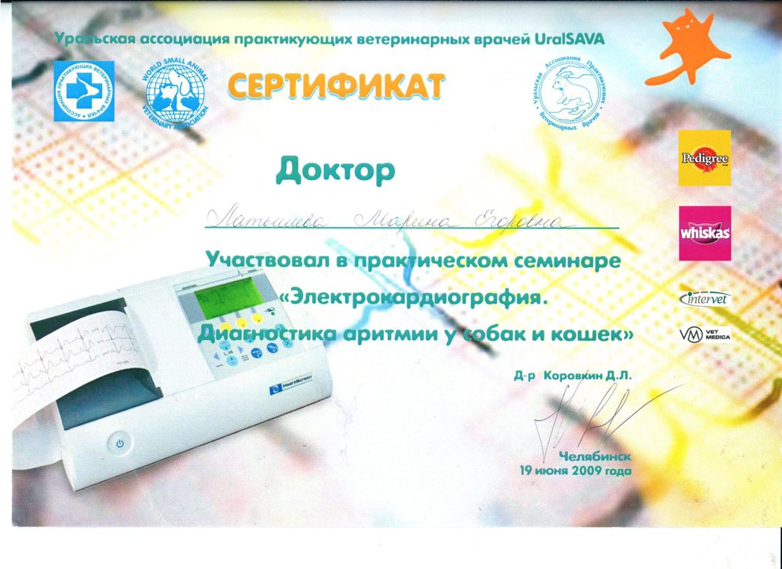 Документ или сертификат