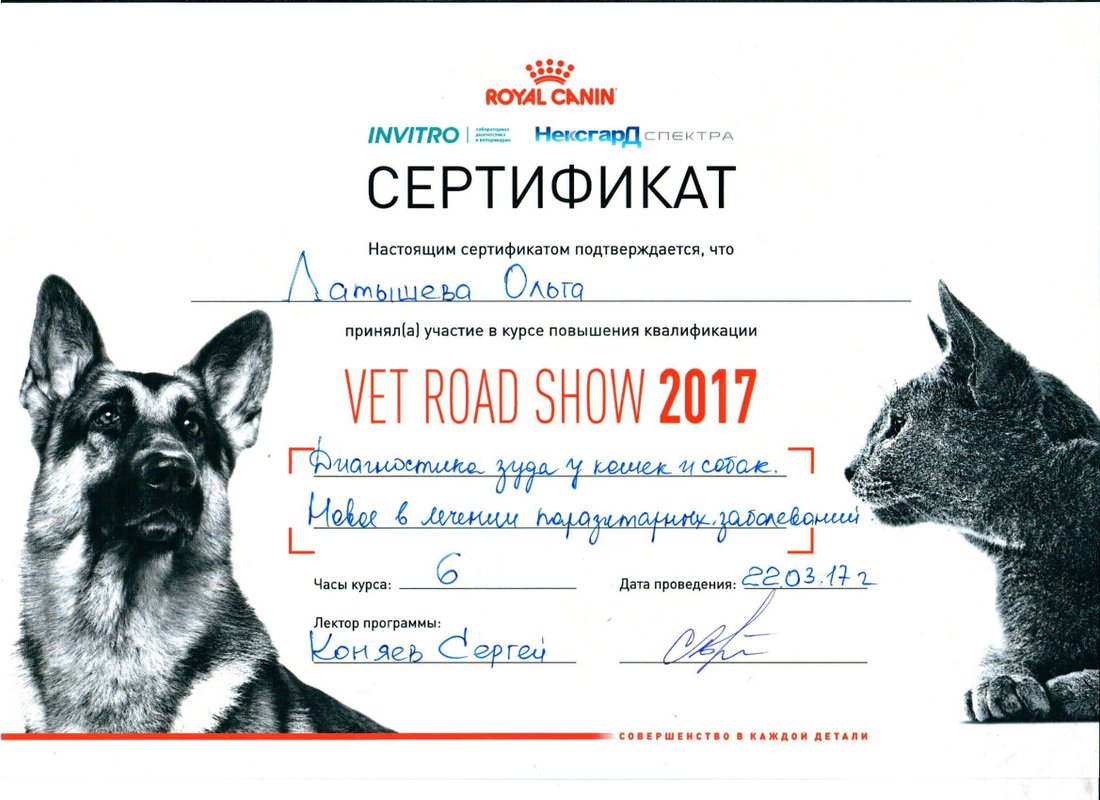 Документ или сертификат