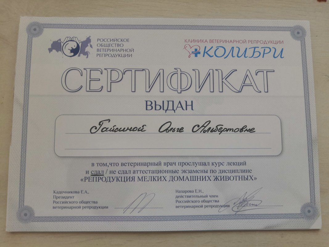 Документ или сертификат
