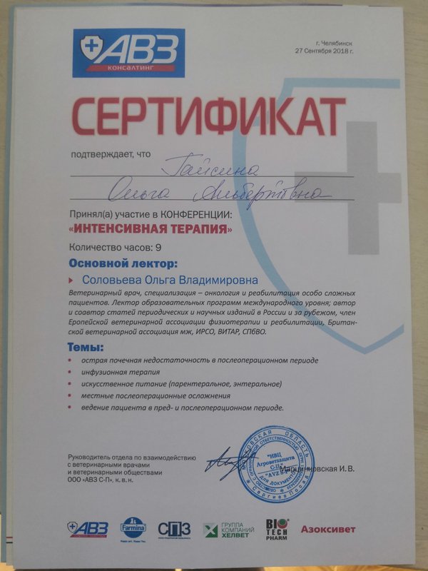 Документ или сертификат