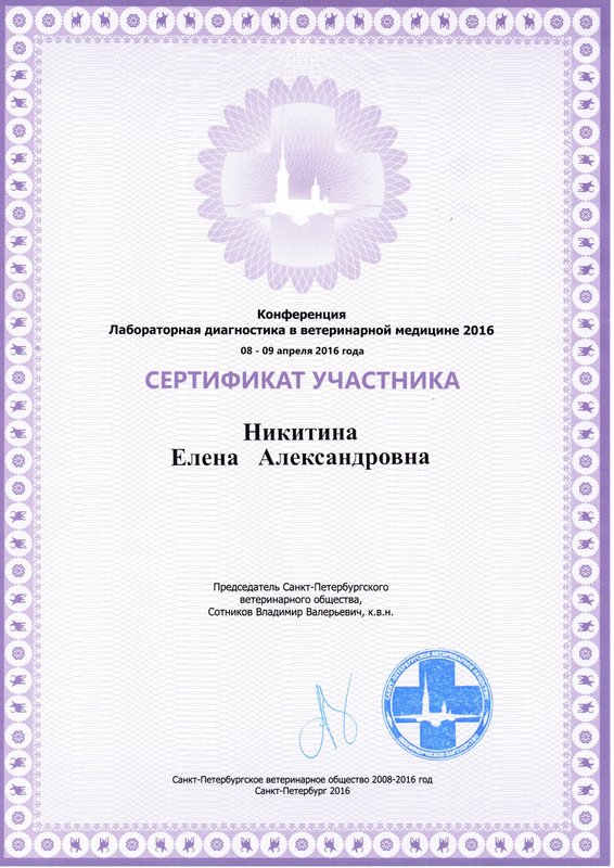 Документ или сертификат