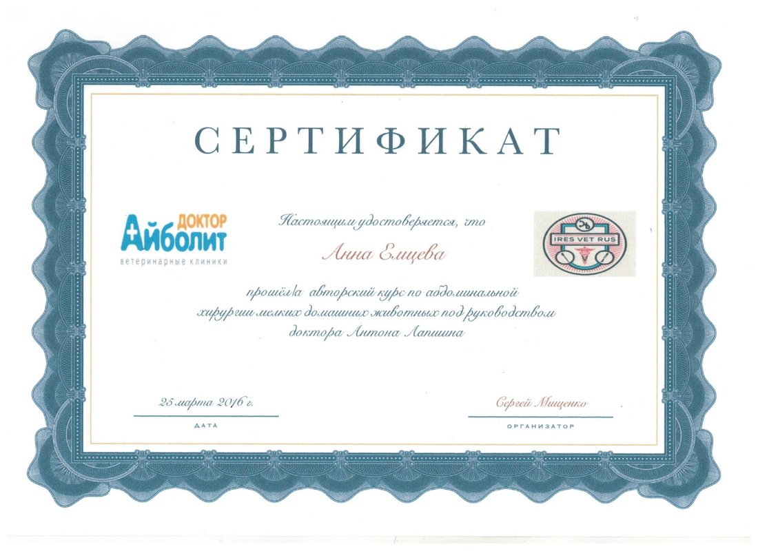 Документ или сертификат