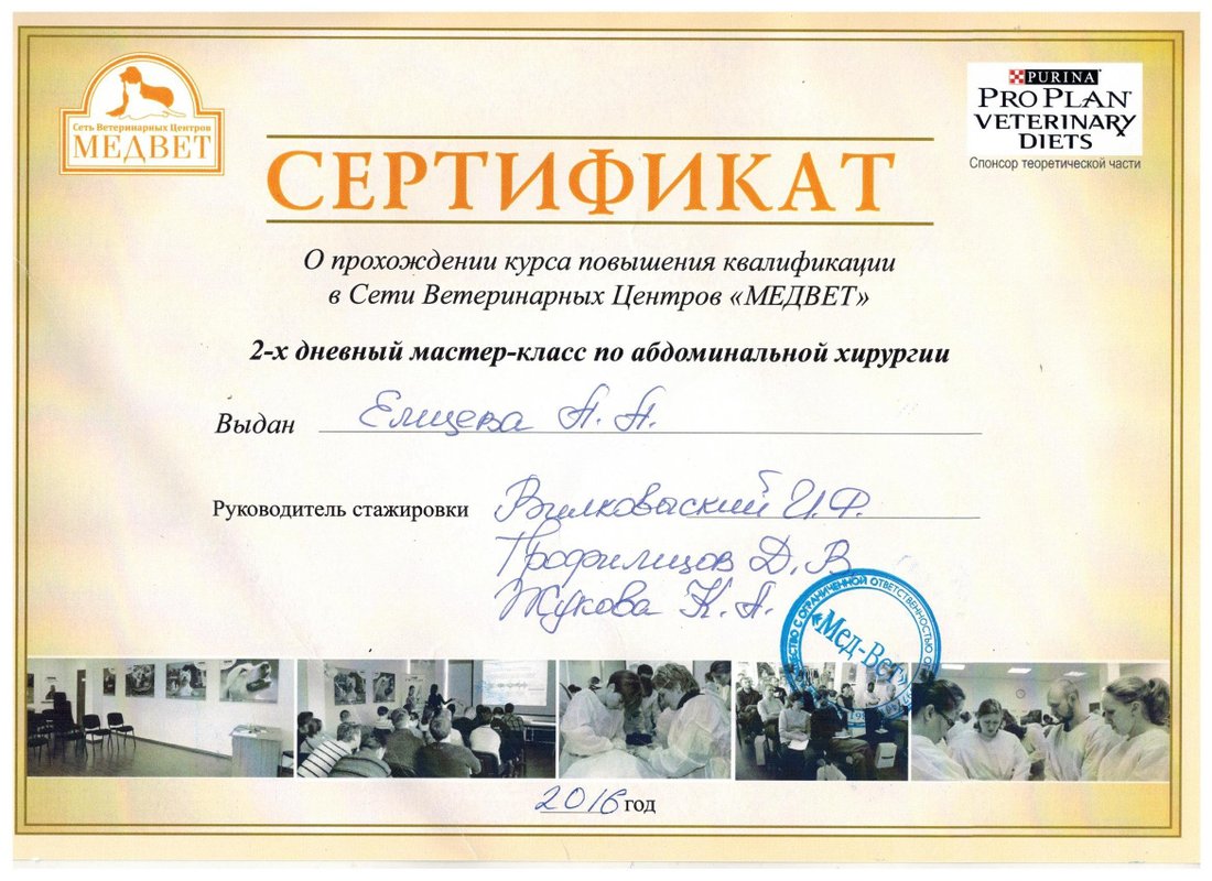 Документ или сертификат