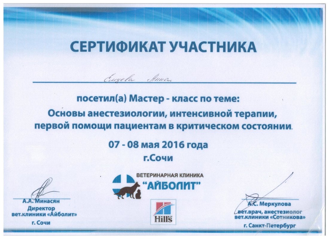 Документ или сертификат