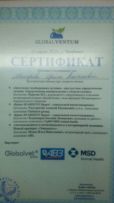Документ или сертификат