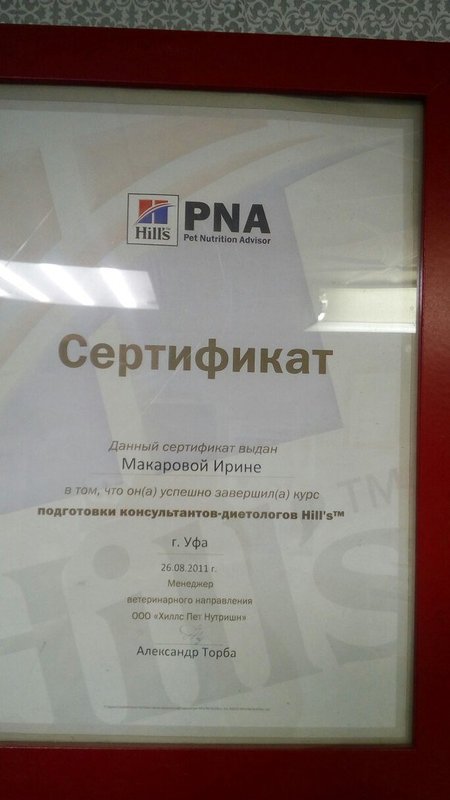 Документ или сертификат