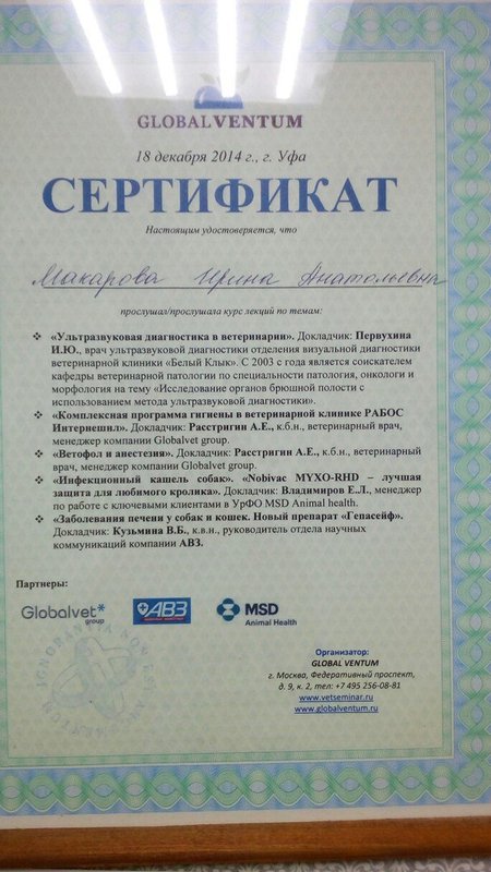 Документ или сертификат