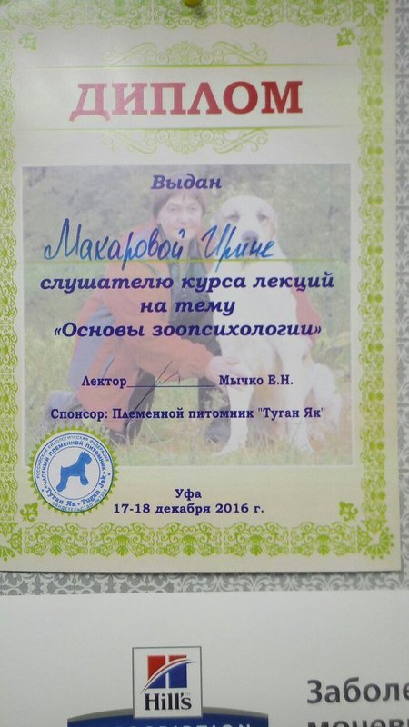 Документ или сертификат