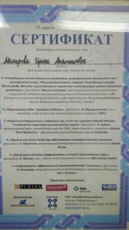 Документ или сертификат