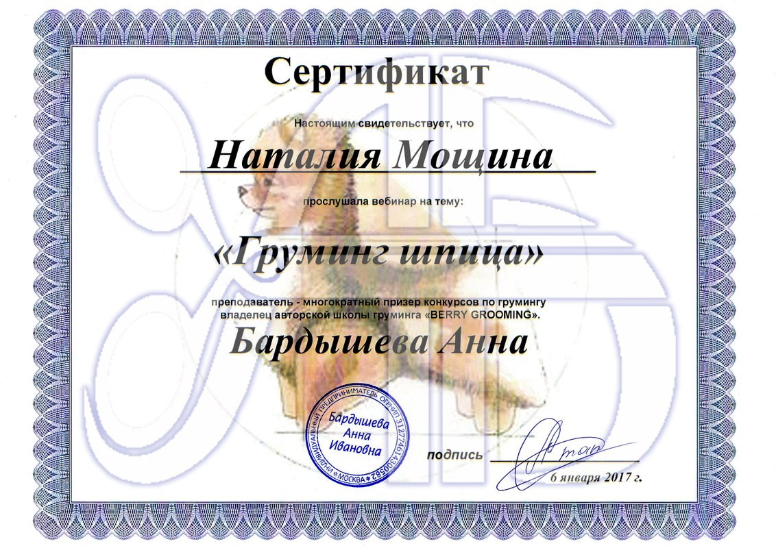 Документ или сертификат