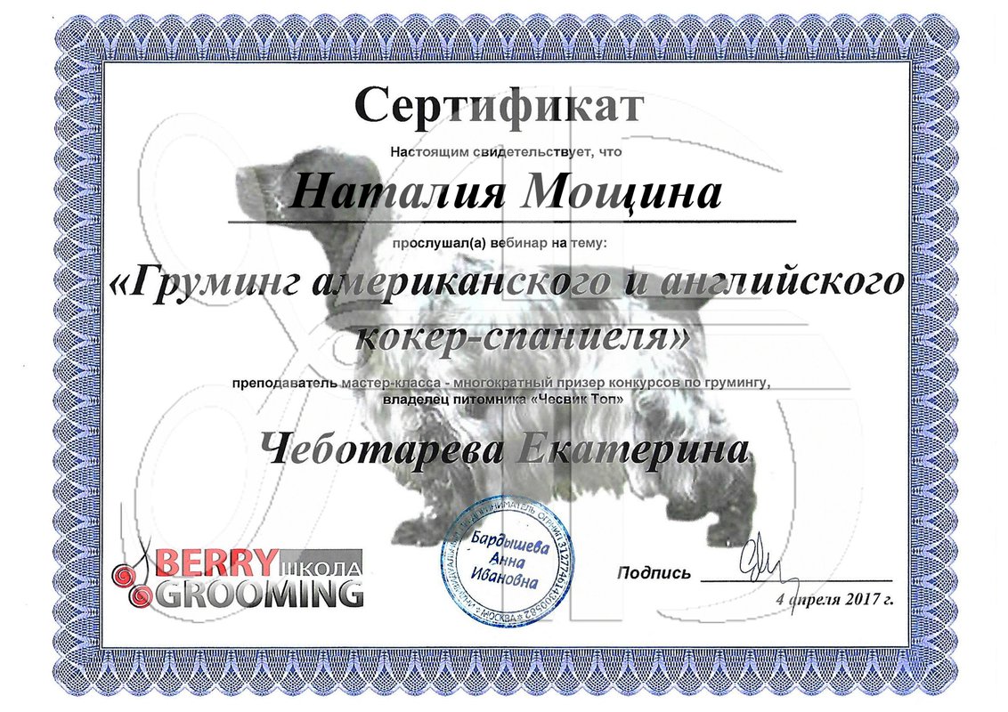 Документ или сертификат