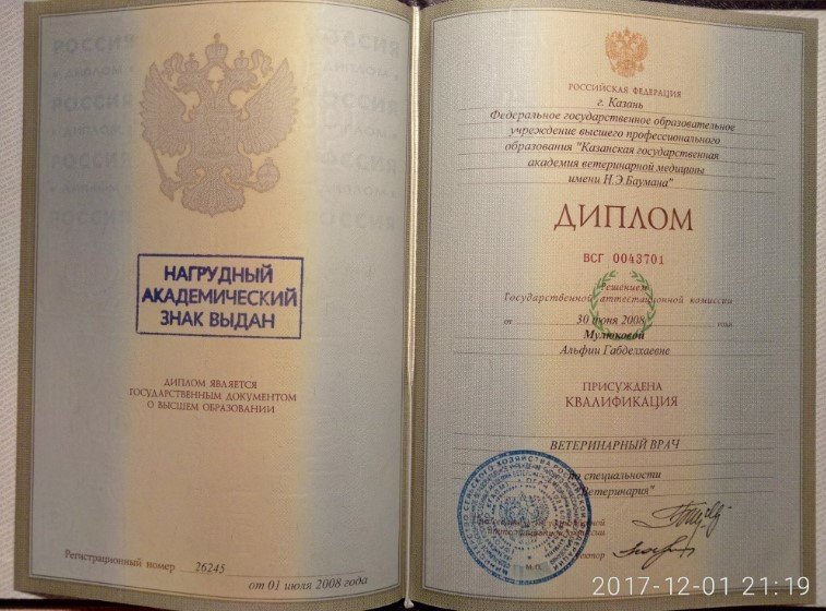 Документ или сертификат
