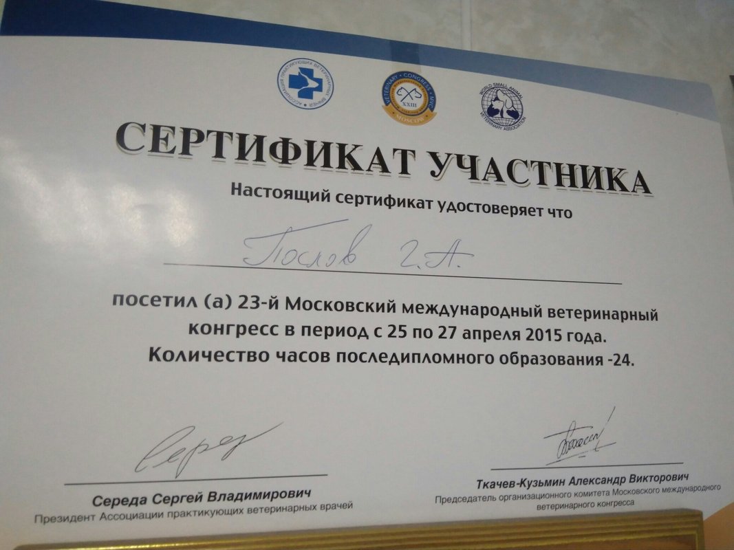 Документ или сертификат