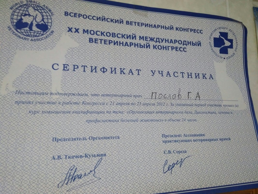 Документ или сертификат