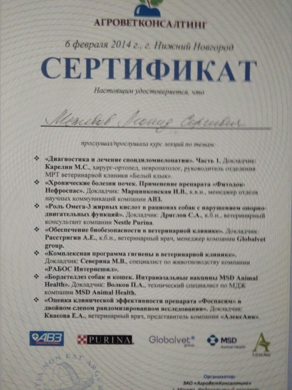 Документ или сертификат