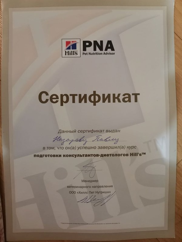 Документ или сертификат