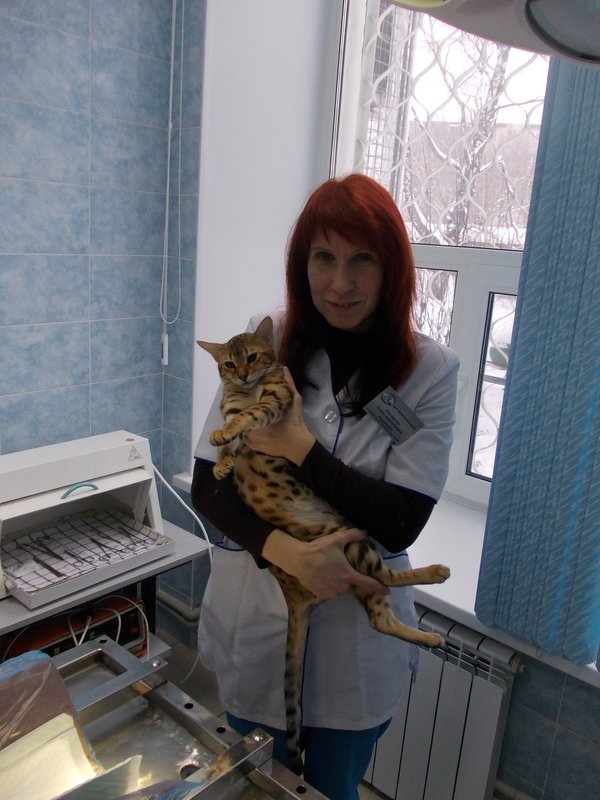 Фото врача